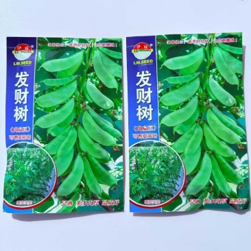 发财树扁豆种子肉扁豆眉豆种子早熟可春夏栽培蔬菜种籽