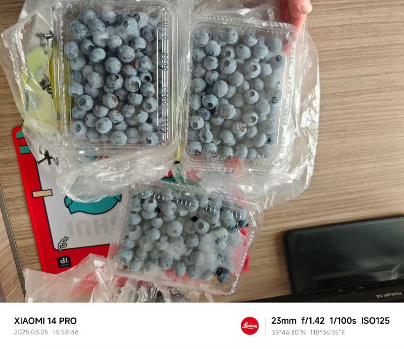 蓝莓，精品蓝莓，大量上市，货源充足，品种齐全