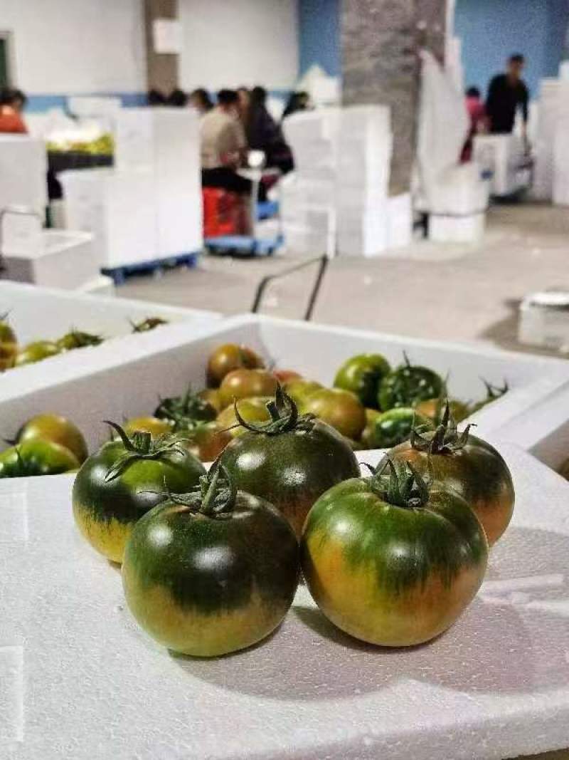 常年供应草莓西红柿，自己工人对接市场平台