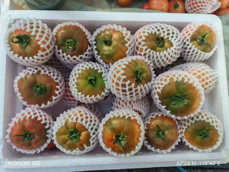 常年供应草莓西红柿，自己工人对接市场平台