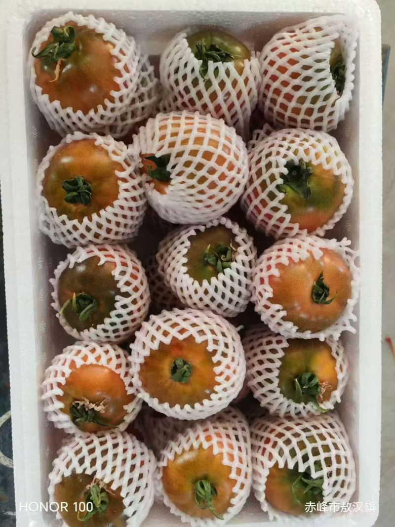 常年供应草莓西红柿，自己工人对接市场平台