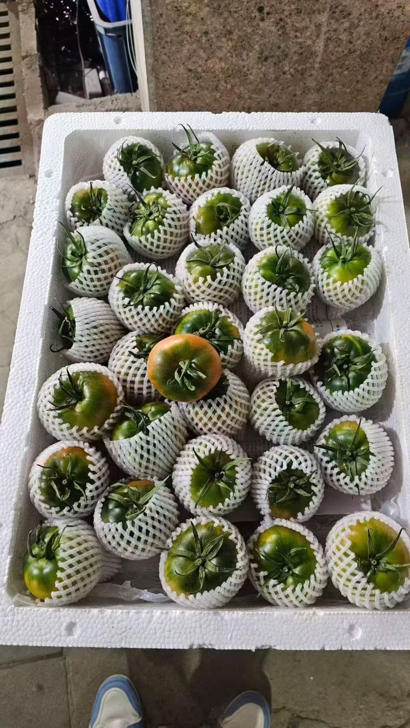 常年供应草莓西红柿，自己工人对接市场平台