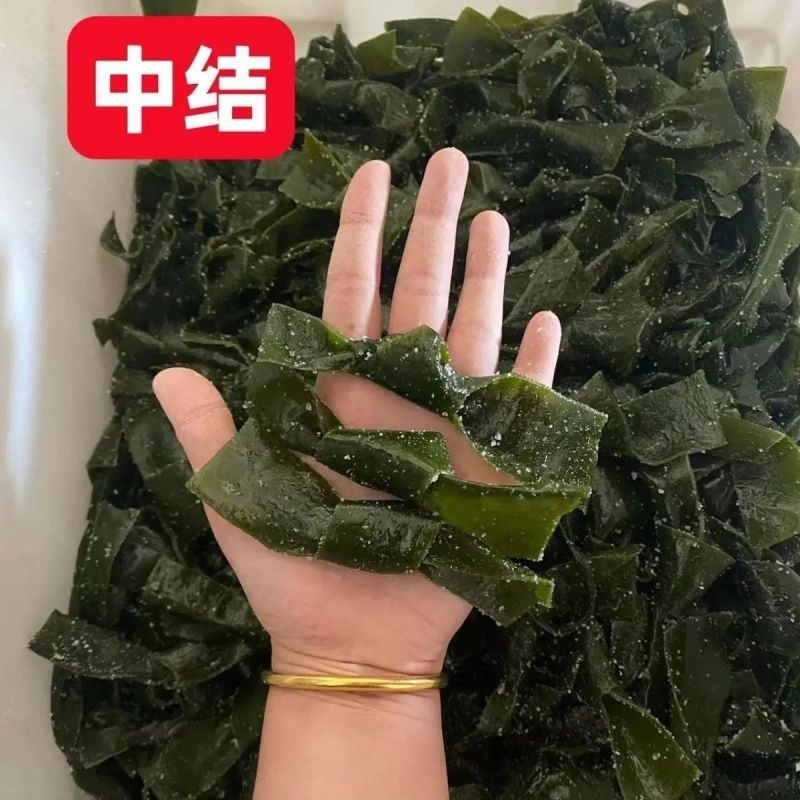 半干海带扣海带结海带片海带苗炖汤海带凉拌盐渍海带海带扣