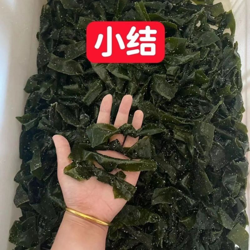 半干海带扣海带结海带片海带苗炖汤海带凉拌盐渍海带海带扣