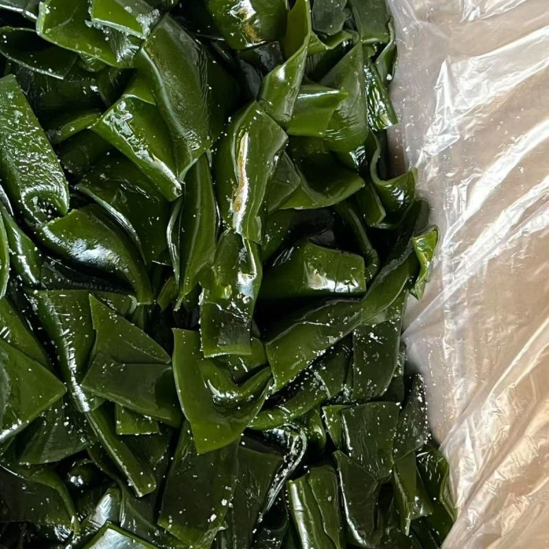 半干海带扣海带结海带片海带苗炖汤海带凉拌盐渍海带海带扣