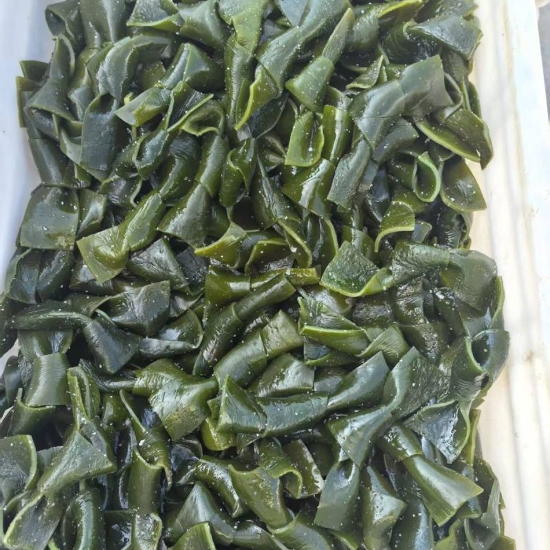 半干海带扣海带结海带片海带苗炖汤海带凉拌盐渍海带海带扣
