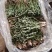 产地新鲜蒲公英婆婆丁大量上市需要的老板联系地头现挖到餐桌