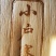 云南普洱茶古树纯料