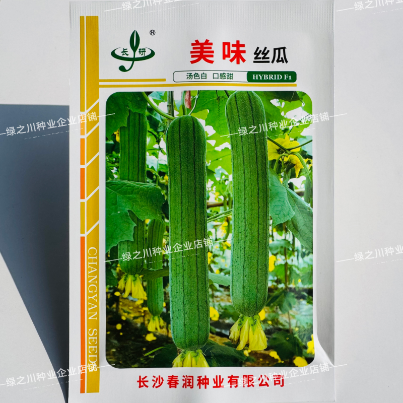 美味丝瓜种子早优16号早熟中长棒肉丝瓜种籽高产种籽味甜瓜