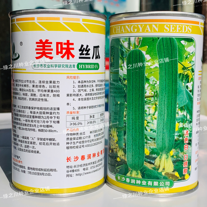 美味丝瓜种子早优16号早熟中长棒肉丝瓜种籽高产种籽味甜瓜