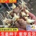 【高产脱毒姜种】产地批发/全程技术指导/可全国发货