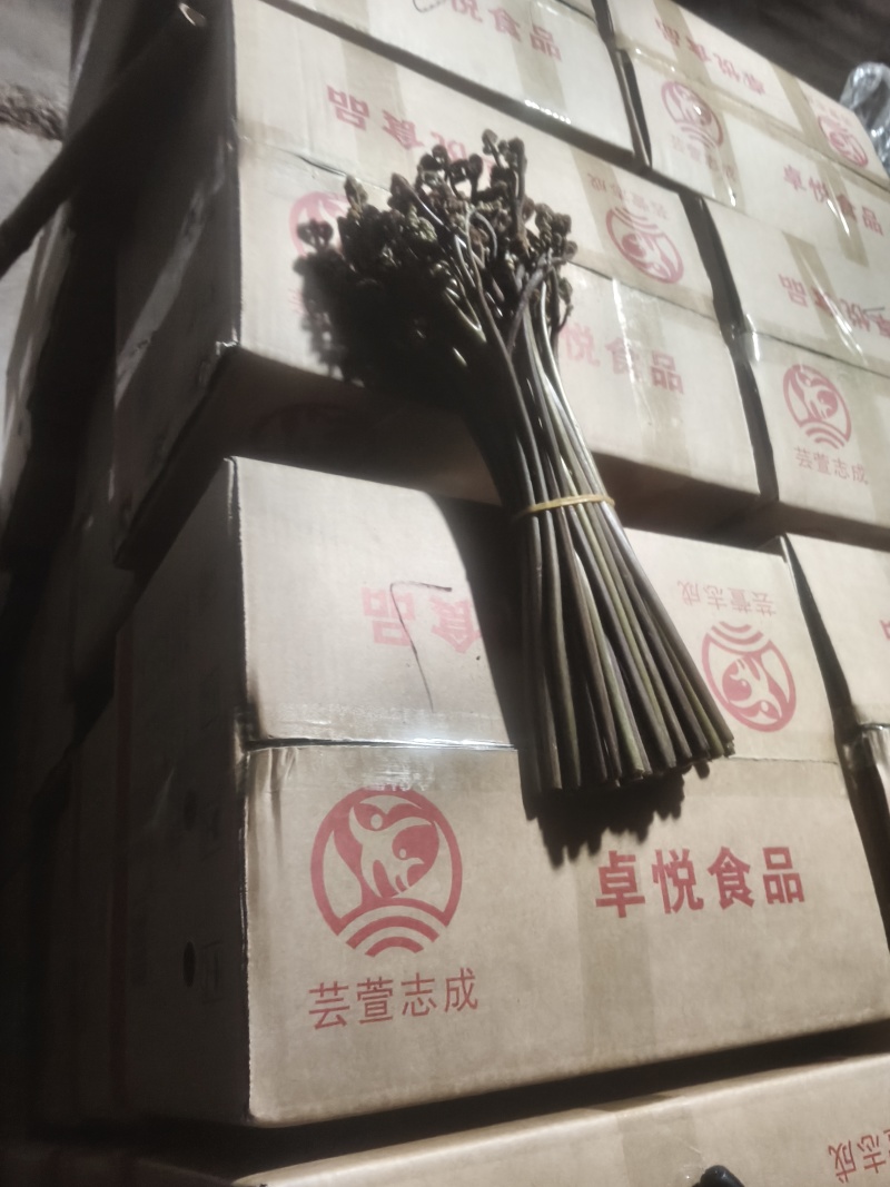 重庆产地新鲜蕨菜龙爪菜鲜嫩无老梗当天发货售后无忧