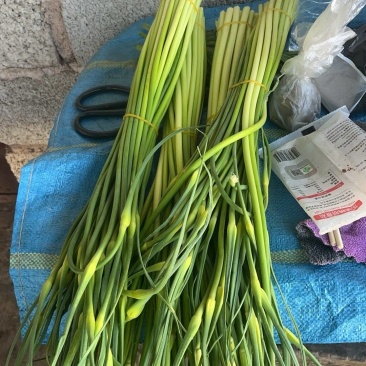 蒜薹大量有货，价格合理，品质有保障，欢迎咨询