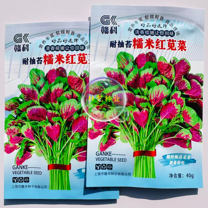 耐抽苔糯米红苋菜种子早中熟红圆叶苋菜籽耐低温结籽晚鲜嫩