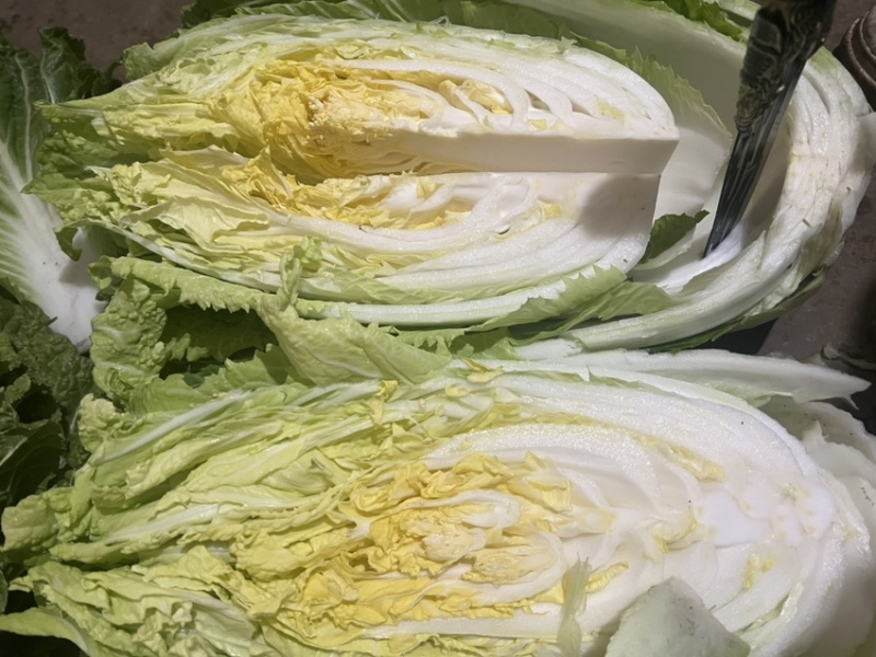贵州威宁黄心大白菜产地直发！