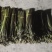 重庆产地新鲜蕨菜龙爪菜鲜嫩无老梗当天发货售后无忧