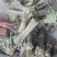 重庆产地新鲜蕨菜龙爪菜鲜嫩无老梗当天发货售后无忧