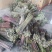 重庆产地新鲜蕨菜龙爪菜鲜嫩无老梗当天发货售后无忧