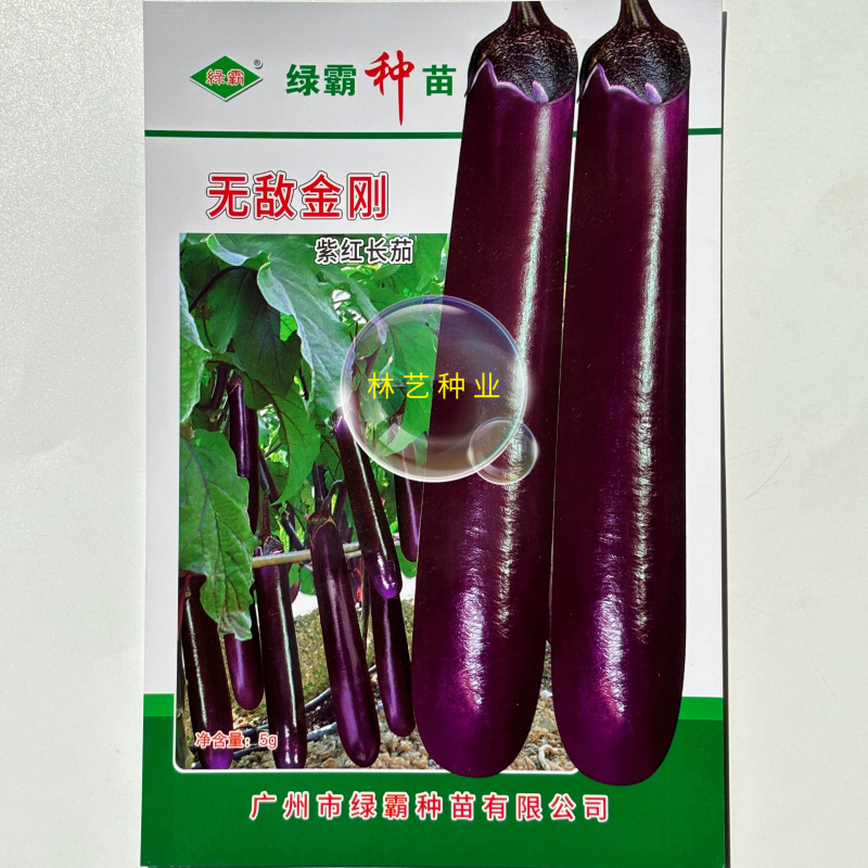 绿霸**金刚紫红长茄子种子烧烤茄子春秋冬季播蔬菜