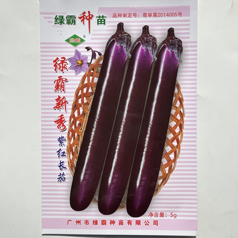 绿霸天龙100紫红长茄种子中晚熟长条型深紫红长茄子头尾匀