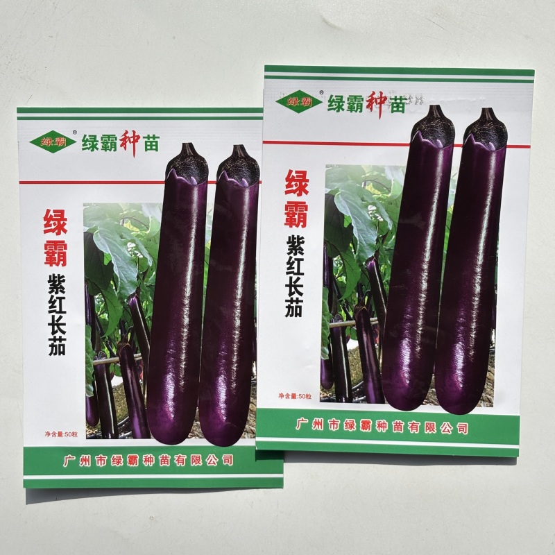 绿霸天龙100紫红长茄种子中晚熟长条型深紫红长茄子头尾匀