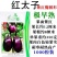 龙盛红太子F1紫皮茄子种子早熟果实椭圆形耐寒性强耐热高产