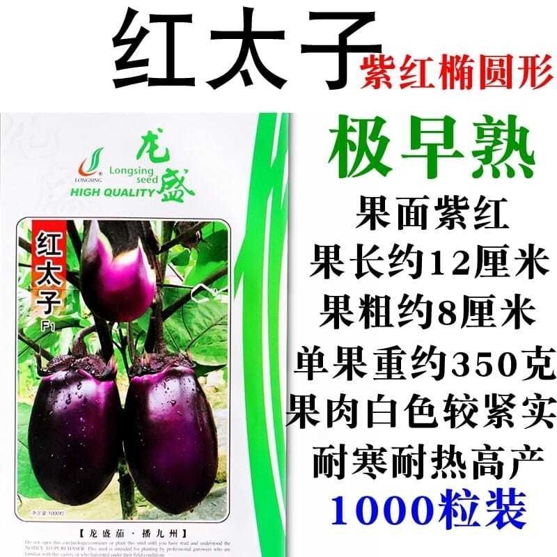 龙盛红太子F1紫皮茄子种子早熟果实椭圆形耐寒性强耐热高产