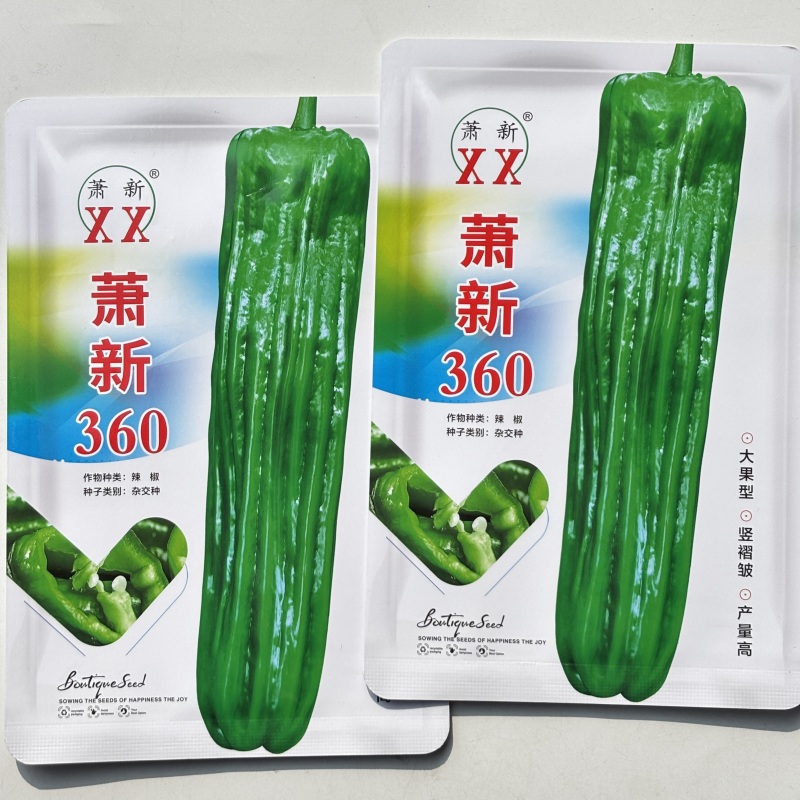 萧新360大果灯笼泡椒种子早熟中辣薄皮椒顺直高产基地专用