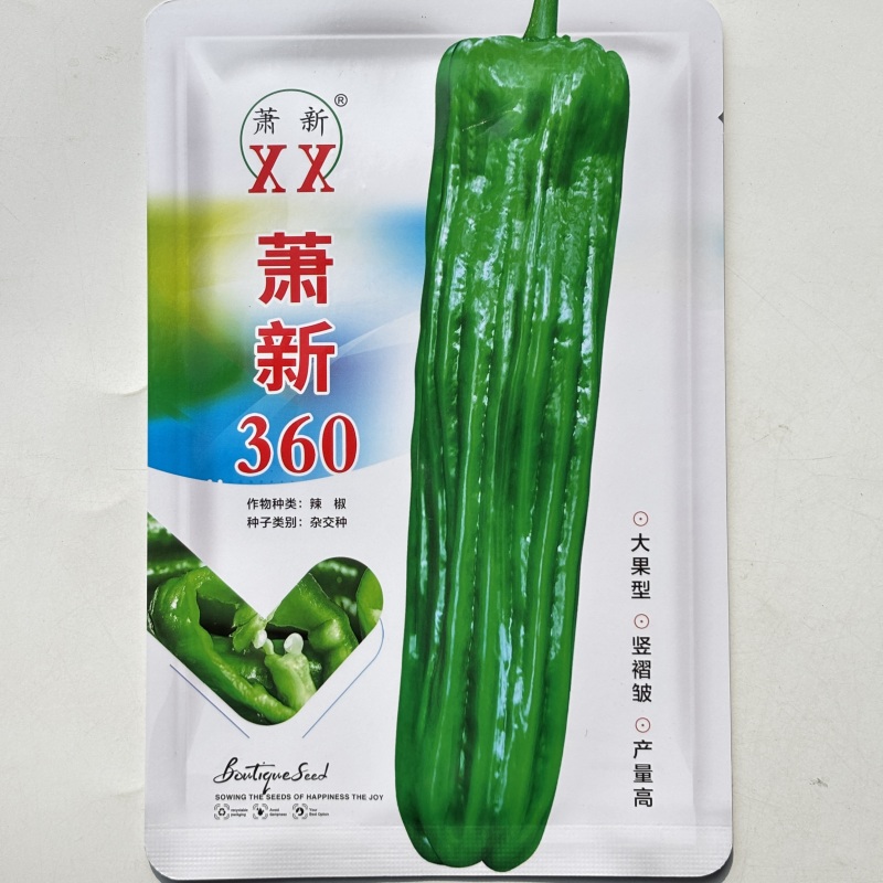 萧新360大果灯笼泡椒种子早熟中辣薄皮椒顺直高产基地专用