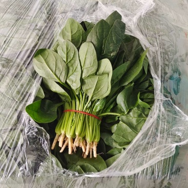菠菜