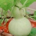 葫芦