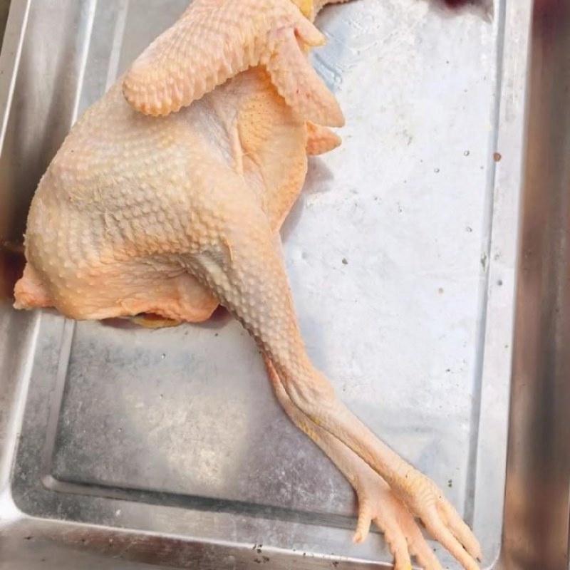 白条老母鸡