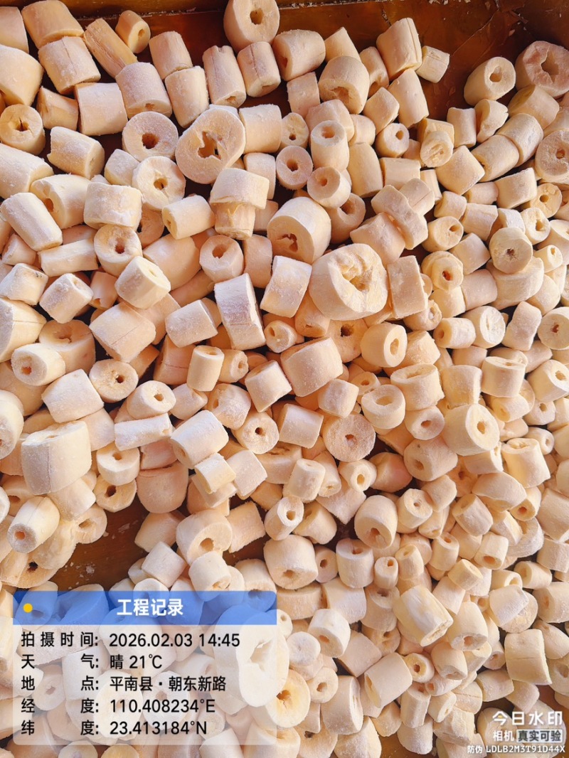 黄心木薯、华南9号、糖水木薯、木薯糖水