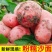 云南红皮土豆，大量供应，对接市场，电商，工厂