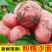 云南红皮土豆，大量供应，对接市场，电商，工厂