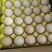 大量精品普粉