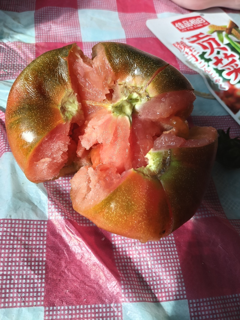铁皮柿子