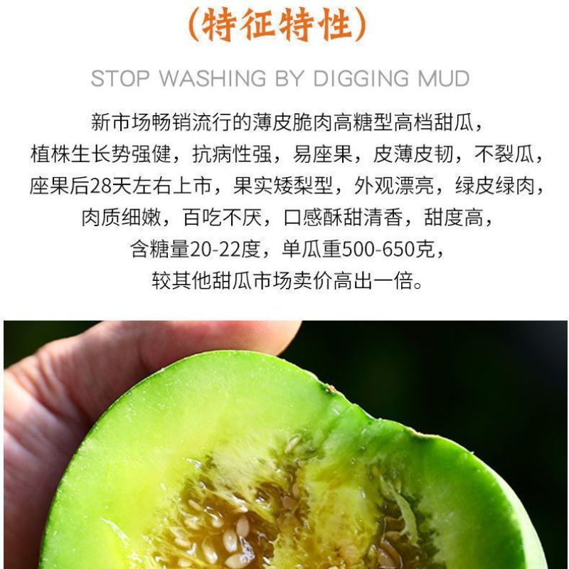 绿宝石二号甜瓜种原装正品高糖高产抗病耐低温南北方均可播种