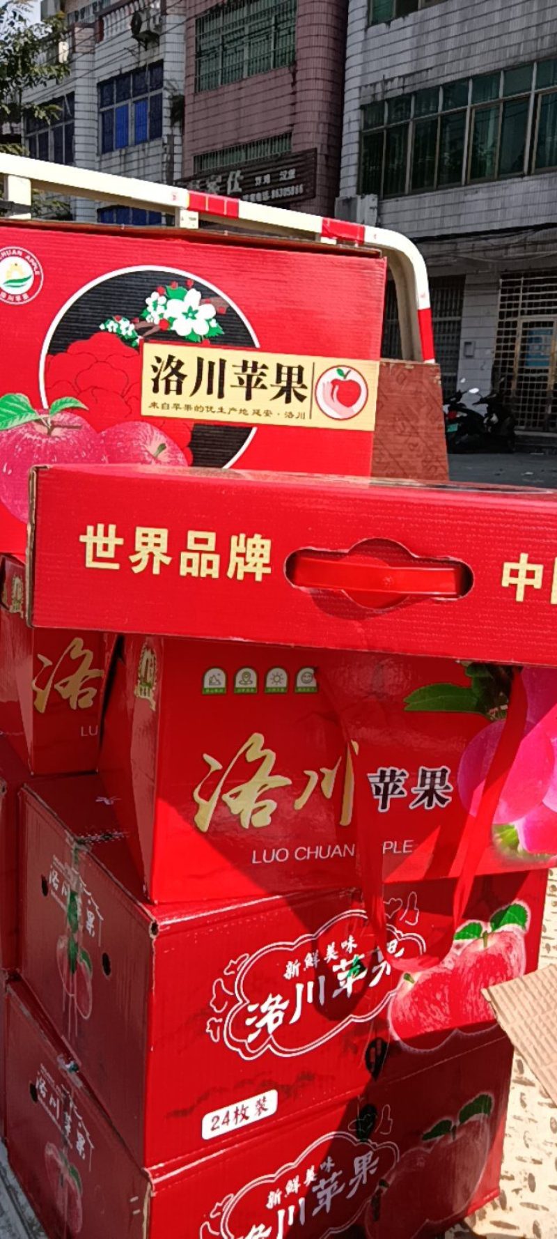 陕西洛川苹果批发零售