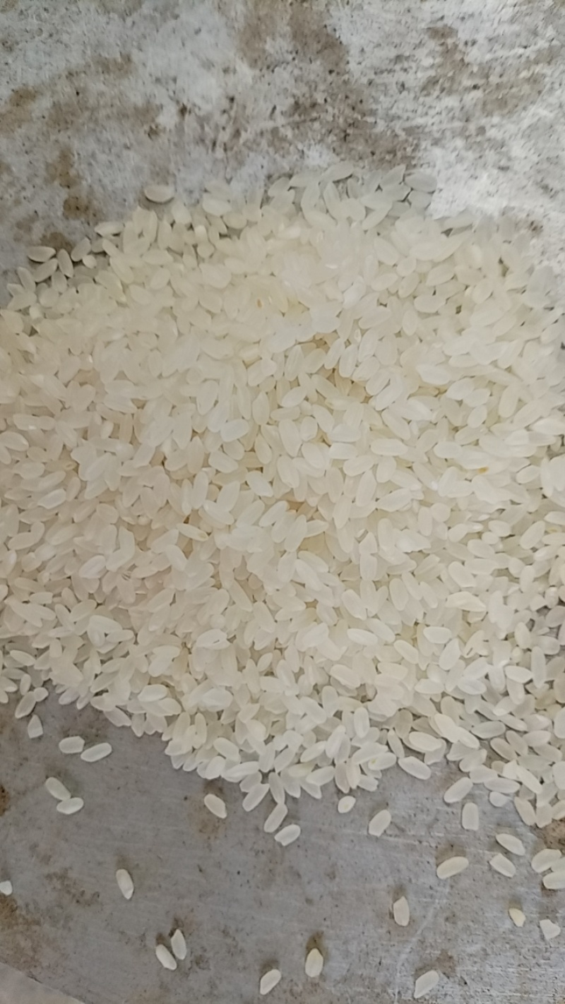 大米，大量供应，欢迎多多采购，货真价实，诚信经营
