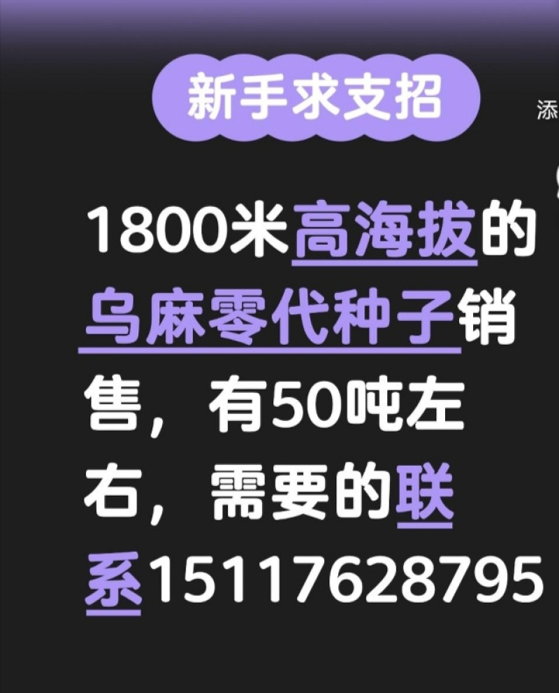 1800米高海拔的乌麻红麻零代种子销售，有50吨，需要的