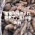 1800米高海拔的乌麻红麻零代种子销售，有50吨，需要的