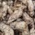 1800米高海拔的乌麻红麻零代种子销售，有50吨，需要的