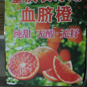 重庆长寿湖血橙，无酸无籽，纯甜化渣，欢迎各位兄弟姐妹们
