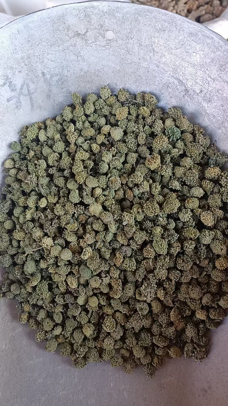 三七花中药材老花三七花五年老货中药材三七花批发