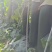广西黑皮吊冬瓜，瓜形好无病无伤无黑心，质量上乘，全国可发