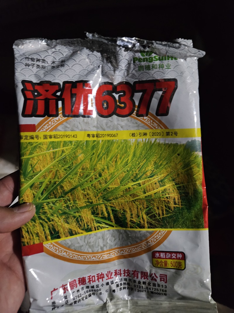 湖南稻谷