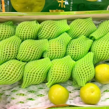 西双版纳苹果枣