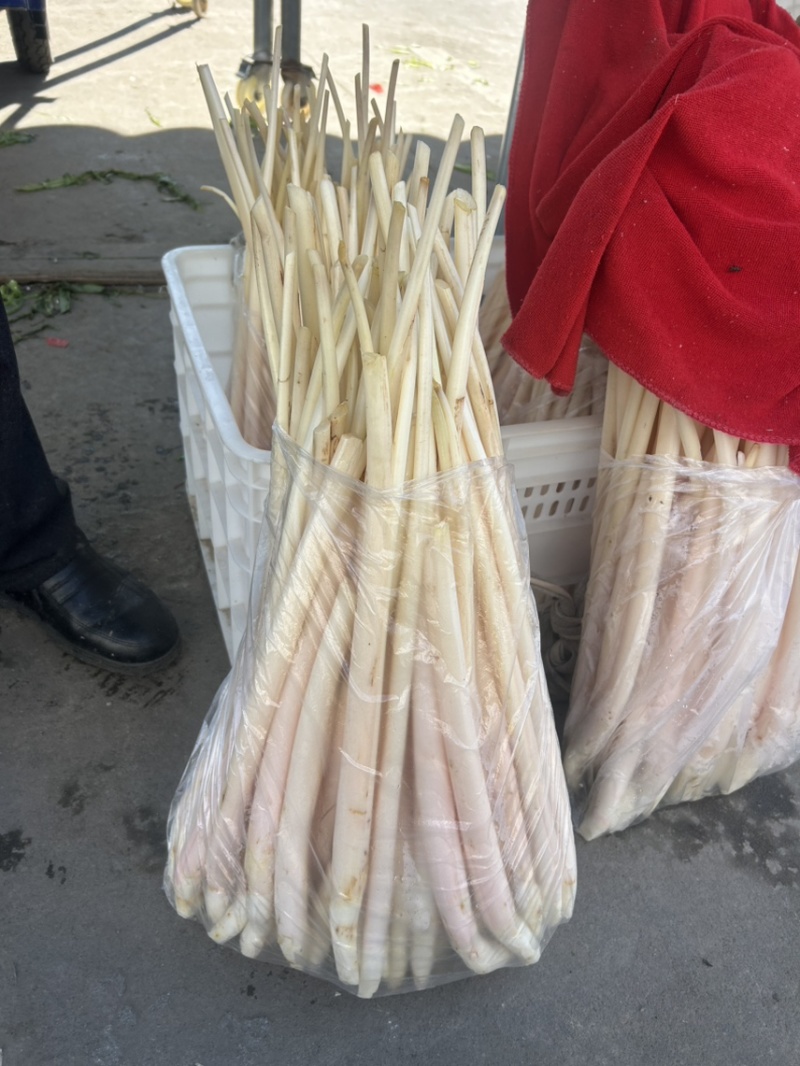 瑞金芋芽
