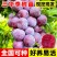 钱排锒妃三华李子苗嫁接苗早晚熟果树李子苗南北方可种当年结